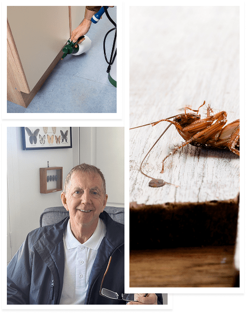 Pest Control Workers