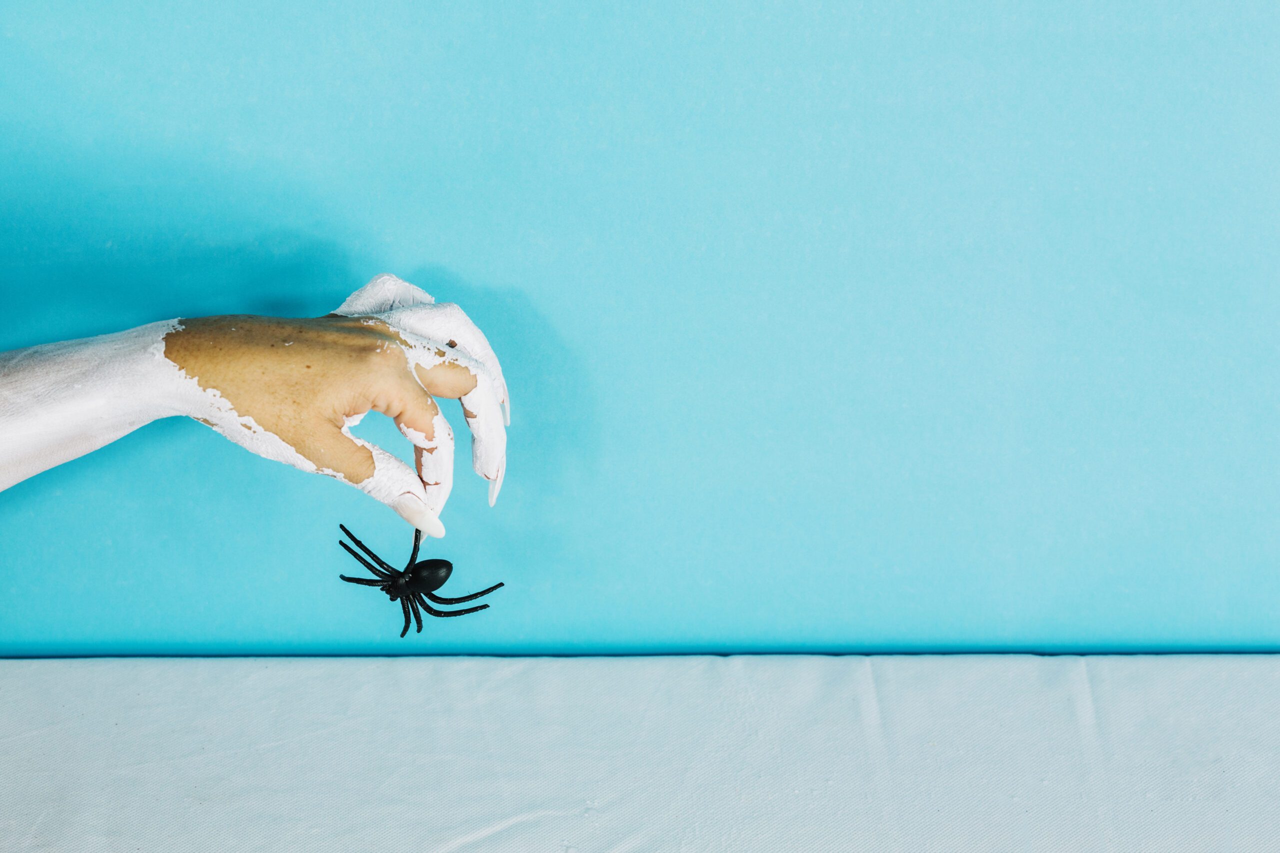 Spider Pest Control